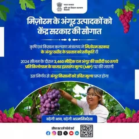 मिज़ोरम के अंगूर उत्पादकों के लिए केंद्र सरकार की एक बड़ी सौगात
कृषि एवं किसान कल्याण मंत्रालय ने मिज़ोरम सरकार के अंगूर खरीद के प्रस्ताव को स्वीकृति दी।