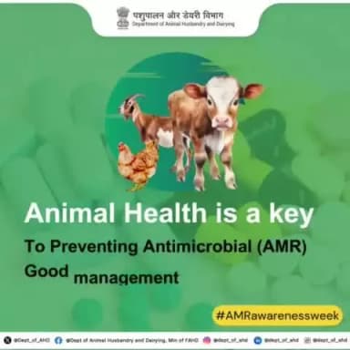 Animal health is key to preventing #AntimicrobialResistance (AMR). Good management practices and the use of antimicrobials under #veterinary supervision protect animals, humans, and the environment.