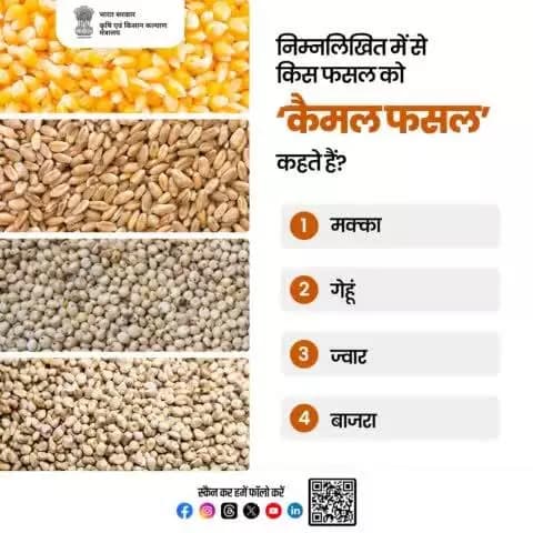 कृषि क्विज में हिस्सा लें व परखें अपना ज्ञान!
निम्नलिखित में से किस फसल को 'कैमल फसल' कहते हैं? कृपया अपना जवाब कमेंट बॉक्स में साझा करें।
#agrigoi #AgriQuiz #CamelCrop #Millets
