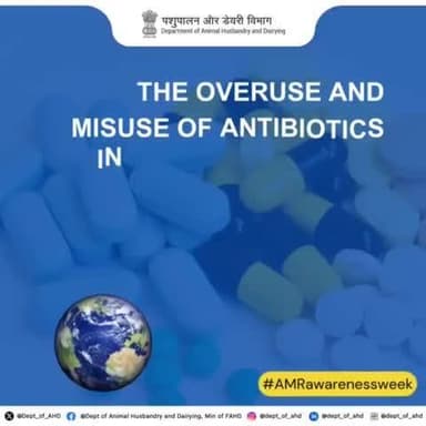 Misusing antibiotics in animals and humans leads to Antimicrobial Resistance (AMR), endangering the health of people, animals, plants, and the planet. Let’s act responsibly to protect our future.
#OneHealth #AMR #WorldAMRAwarenessWeek