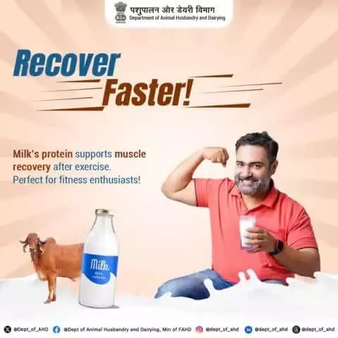 Recover Right with Milk
After a workout, recharge with milk! Its protein helps muscles recover, keeping you ready for your next adventure.
#PostWorkout #RecoveryFuel #NationalMilkDay