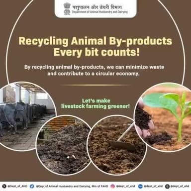 Recycling animal by-products minimizes waste and contributes to a circular economy. Let’s make livestock farming more sustainable and environmentally friendly!
#Recycling #WasteManagement #SustainableFarming #ecofriendly