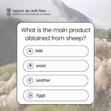What is the main product obtained from Sheep?
Comment your answer below and show off your knowledge!
Let’s see who the real experts are!
#21stLivestockCensus #Livestock #Quiztime #dairyfarming