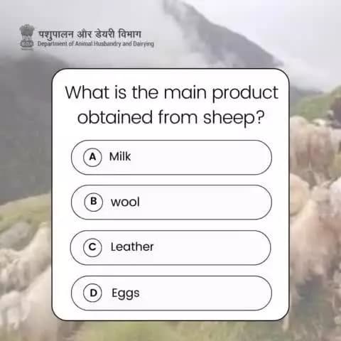 What is the main product obtained from Sheep?
Comment your answer below and show off your knowledge!
Let’s see who the real experts are!
#21stLivestockCensus #Livestock #Quiztime #dairyfarming