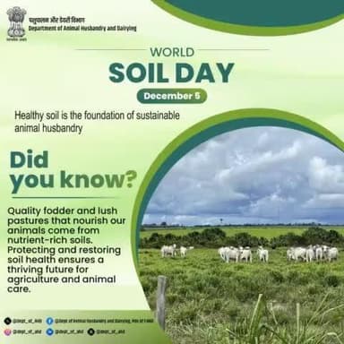 Healthy Soil, Healthy Future!
This #WorldSoilDay, let's recognize the vital role of soil in sustainable animal care.
Nutrient-rich soil → Quality fodder → Healthy animals.