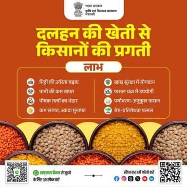 दलहन की फसलें न केवल मिट्टी की उर्वरता बढ़ाने में सहायक होती हैं, बल्कि फसल उत्पादन को भी बेहतर बनाती हैं। #agrigoi #pulses #soilhealth