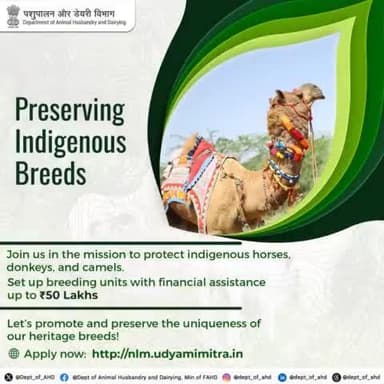 Preserving Indigenous Breeds! 
 Protect and promote our heritage breeds—horses, donkeys, and camels—with ₹50 Lakhs financial support under #NLM. 
Apply here http://nlm.udyamimitra.in