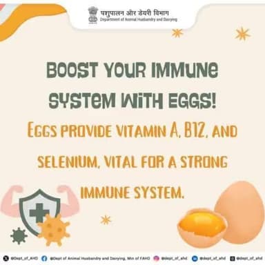 Shield your body with the power of eggs!
Packed with vitamin A, B12, and selenium, they’re a perfect partner for a strong immune system.
#PowerOfEggs #StrongImmuneSystem #HealthyEating #Nutrition #EggBenefits #Superfood #VitaminRich