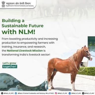 The National Livestock Mission is empowering farmers and boosting productivity to create a better tomorrow. Join the mission to grow together!
#national_livestock_mission