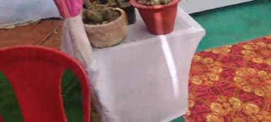 दिनांक 12 फरवरी 2025 को जिला उद्यान कार्यालय पूर्णिया के द्वारा प्रमंडल स्तरीय उद्यान प्रदर्शनी का आयोजन किया गया एवं सफल प्रतिभागी को पुरस्कार वितरण किया गया