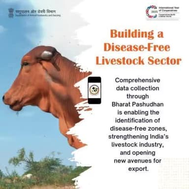 Building a Disease-Free Livestock Sector
Bharat Pashudhan is mapping disease-free zones, boosting India’s livestock industry, and creating global export opportunities. A healthier future for animals and farmers alike!
#HealthyLivestock