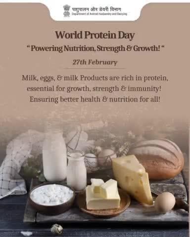 Fuel Your Strength, Power Your Health!
On #WorldProteinDay, celebrate the building blocks of life!
From milk, eggs, and cheese, protein keep#nutritionforall nergized, and healthy.