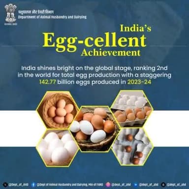 India’s journey to greatness gets an egg-cellent boost!
Ranked 2nd globally, we’ve produced 142.77 billion eggs in 2023-24. That’s food security with a side of success!
#IndiaRanksSecond #EggProduction