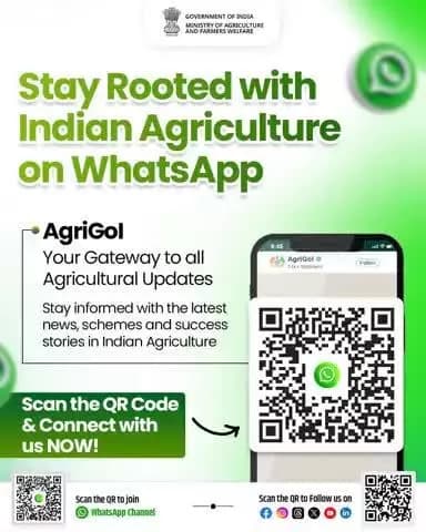 Stay connected with Indian agriculture through AgriGoI on WhatsApp.
#agrigoi #WhatsAppChannel