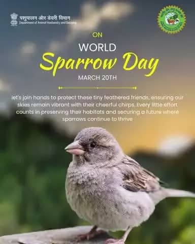 Protecting Our Tiny Chirpers!
On this World Sparrow Day, let’s pledge to safeguard these little feathered friends by preserving their habitats.
#worldsparrowday
