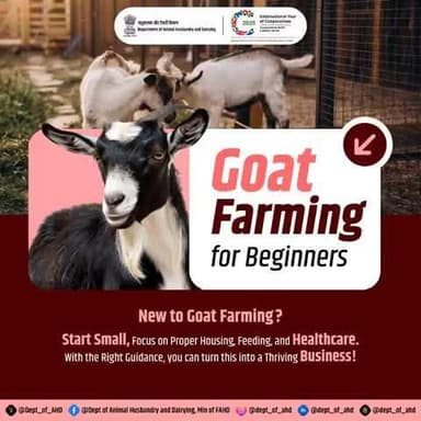 Goat Farming for Beginners
Start small, dream big!
Beginner’s guide to goat farming: focus on housing, feeding, and healthcare to build a thriving farm. Your journey starts here!
#GoatFarming #FarmLife