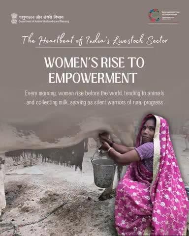 At sunrise, women awaken to resilience, gathering milk and cultivating dreams of empowerment.
#WomensDay2025 #EmpoweredWomen #WomenInDairying
