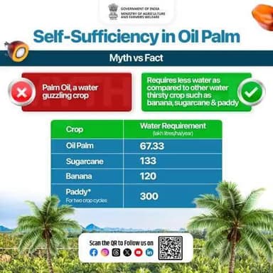 Busting Myths About Oil Palm!
Let's support sustainable agriculture and work towards self-sufficiency in oil palm. 🌴
#agrigoi #OilPalm #SustainableFarming