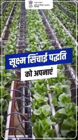 "सूक्ष्म सिंचाई पद्धति: कम पानी में अधिक पैदावार!
केंद्र सरकार की पहल से किसानों को मिल रही आधुनिक सिंचाई सुविधाएँ, बढ़ रही जल बचत और उत्पादन क्षमता।
#agrigoi #PerDropMoreCrop #सूक्ष्मसिंचाई
