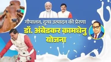 गौपालन, दुग्ध उत्पादन की प्रेरणा
‘डॉ. भीमराव अंबेडकर कामधेनु योजना’
@DrMohanYadav51 @mp_husbandry #CMMadhyaPradesh #कामधेनु_योजना_mp