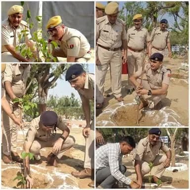 #राजस्थान_पुलिस_स्थापना_दिवस के उपलक्ष पर पुलिस लाइन दौसा परेड ग्राउंड में #वृक्षारोपण व #स्वच्छता अभियान ।
#IgpJaipur
#PoliceRajasthan
#RajCMO
#DausaPolice