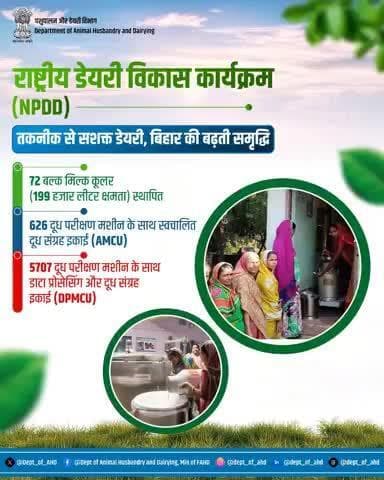 राष्ट्रीय डेयरी विकास कार्यक्रम (NPDD) के अंतर्गत बिहार में 72 बल्क मिल्क कूलर, 626 AMCU और 5707 DPMCU स्थापित किए गए हैं। यह पहल पशुपालकों की आय बढ़ाने और गुणवत्तापूर्ण दूध आपूर्ति सुनिश्चित करने की दिशा में अहम भूमिका निभा रही है।
#NPDD