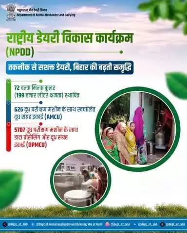 राष्ट्रीय डेयरी विकास कार्यक्रम (NPDD) के अंतर्गत बिहार में 72 बल्क मिल्क कूलर, 626 AMCU और 5707 DPMCU स्थापित किए गए हैं। यह पहल पशुपालकों की आय बढ़ाने और गुणवत्तापूर्ण दूध आपूर्ति सुनिश्चित करने की दिशा में अहम भूमिका निभा रही है।
#NPDD