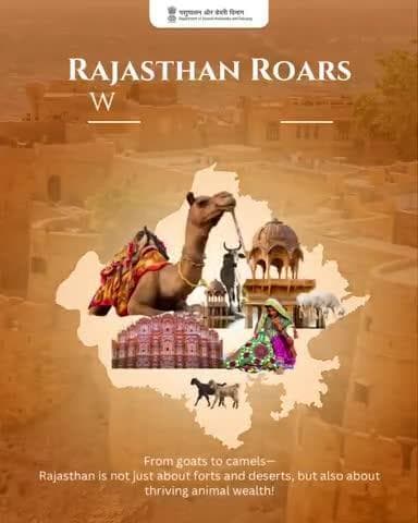 Rajasthan’s strength lies in its livestock.
With over 5.68 crore animals, the state plays a key role in India’s animal husbandry sector.
#RajasthanLivestock #AnimalHusbandry #LivestockPower