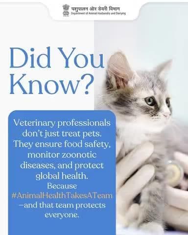 Veterinary professionals do more than care for pets. They safeguard our food systems, prevent the spread of disease, and strengthen global health. Because #animalhealthtakesateam —and that team protects us all.
#veterinaryday2025