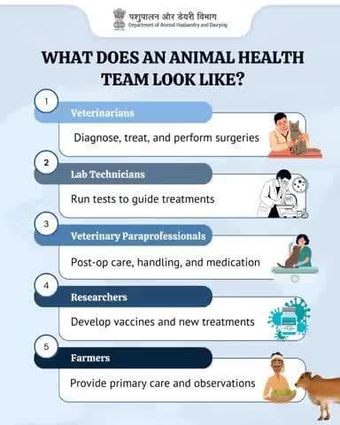 Alone, we can care.
Together, we can heal.
This #WorldVeterinaryDay, we celebrate the power of teamwork in every recovery, every rescue, and every heartbeat.
#VeterinaryDay2025 #AnimalHealthTakesATeam