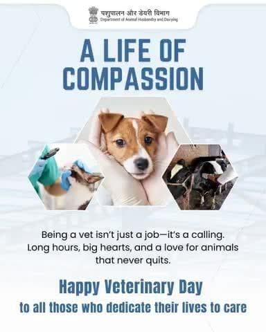 Veterinary isn’t just a profession—it’s a lifelong commitment to compassion. It’s early mornings, long nights, and hearts that never stop giving. This Veterinary Day, we salute those who choose to care, every single day.
#VeterinaryDay2025