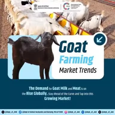 Goat Farming Market Trends
Ride the wave of demand! Goat milk and meat are in high demand globally. Stay ahead and tap into this growing market.
#MarketTrends #GoatFarming