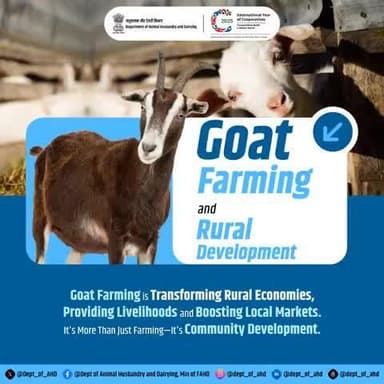 Goat Farming and Rural Development
Goat farming boosts rural economies by providing livelihoods and supporting local markets.
#GoatFarming #AnimalHusbandry #RuralDevelopment