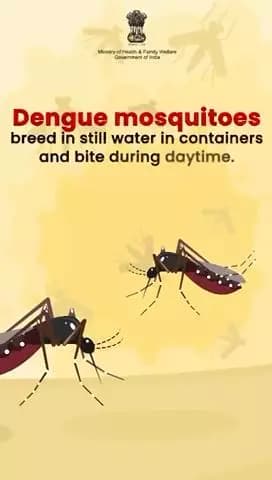 #DenguePrevention
Prevent mosquito breeding by eliminating stagnant water and ensuring proper cleanliness of containers.
