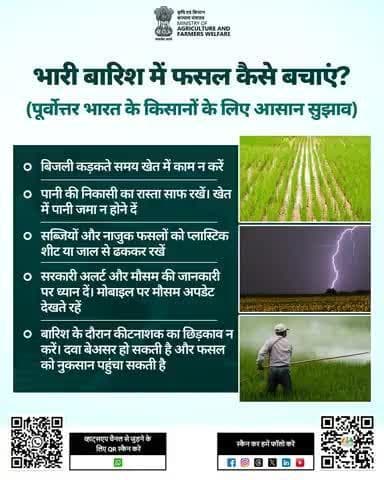 भारी बारिश का समय सतर्कता का समय है! इन आसान उपायों से अपनी फसल को सुरक्षित रखें और नुकसान से बचें।
#Agrigoi #IMD