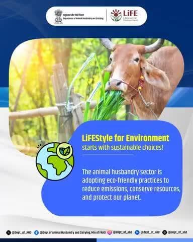 Choose Sustainability, Nurture Our Planet!
The animal husbandry sector embraces eco-friendly practices to reduce emissions, save resources, and support a greener future.
#SustainableFarming #EcoFriendly