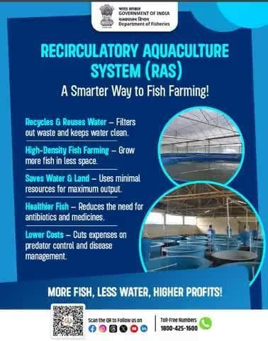Make every drop count!
Grow more fish using less water and land! Adopt #RAS for healthier fish, lower costs, and sustainable profits.
#Ras #pmssy #pmmssy #fish