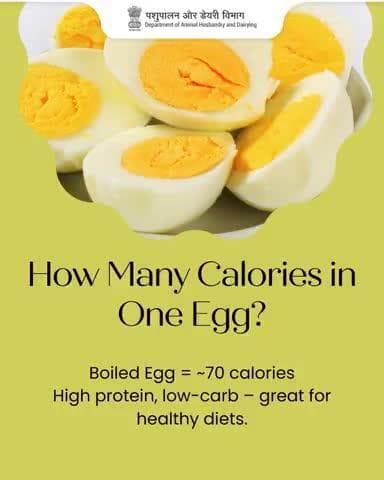 Fuel Your Day with Eggs!
Did you know? A boiled egg packs just ~70 calories – a high-protein, low-carb powerhouse perfect for healthy diets.
Start your morning right – power up with eggs!
#NutritionBoost #EggPower