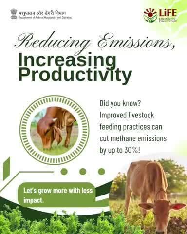 Grow more, emit less — climate-smart feeding practices are a win for Livestock farmers and the environment.
#WorldEnvironmentDay #MissionLiFE
#SustainableLivestock #lowemissionfarming