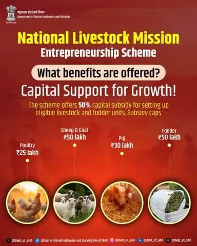 NLM Scheme: Boost Your Livestock Business!
Get up to 50% subsidy on:
🐔 Poultry ₹25L | 🐐 Goat ₹50L | 🐖 Pig ₹30L | 🌿 Fodder ₹50L
Start today!
#NLM #LivestockStartup #AatmaNirbharKisan