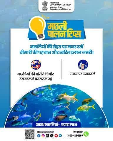 मछलियों की सेहत पर सतत निगरानी अत्यंत आवश्यक है। गतिविधियों व रंग में परिवर्तन रोग का संकेत हो सकता है। बीमारी की शीघ्र पहचान व समय पर उपचार से उत्पादन में वृद्धि संभव है।
#FishHealth #Aquaculture #FishFarming