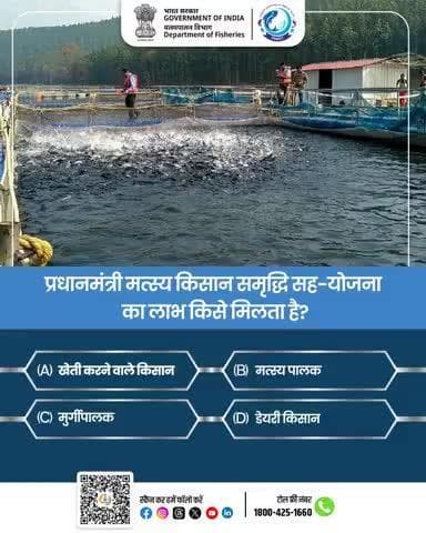 अपना उत्तर कमेंट बॉक्स में दें और योजना से संबंधित योजनाओं से संबंधित अधिक जानकारी के लिए हमें फॉलो करें। 
#PMMKSSY #FisheriesAwareness #DepartmentOfFisheries #GovernmentOfIndia