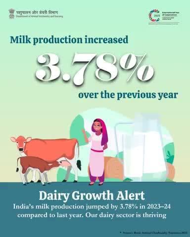 Dairy Growth Alert!
India’s milk production rose by 3.78% in 2023–24 compared to the previous year. Our dairy sector is thriving, powering nutrition and livelihoods across the nation!
#WorldMilkDay2025 #DairyGrowth #IndiaDairy