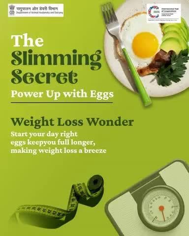 Start your day with the slimming power of eggs!
Packed with protein, eggs keep you fuller for longer, reduce cravings, and support weight loss naturally. A simple, healthy choice for a fitter you!
#SlimmingSecret #EggBenefits