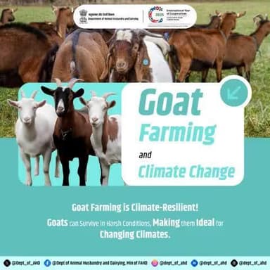 Goat Farming and Climate Change
Goats: the climate-resilient livestock!
They adapt to harsh conditions, making them ideal for farming in a changing climate.
#ClimateResilience #goatfarming