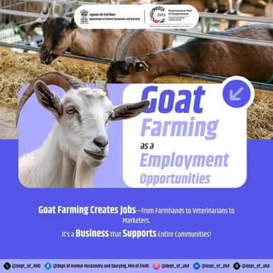Goat Farming and Employment Opportunities
Creating jobs, building communities!
Goat farming provides employment opportunities from farmhands to marketers. A business that supports everyone!
#AnimalHusbandry #goatfarming