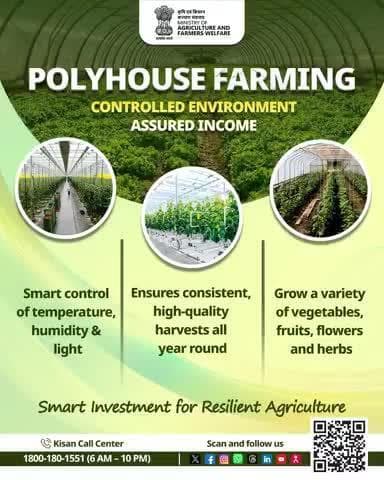 Grow in any season with #Polyhouse! Smart farming for healthy crops, less risk & maximum profit.
#PolyhouseFarming