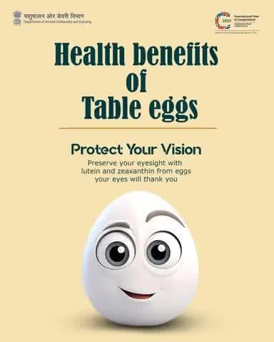 Protect Your Vision!
Eggs are rich in lutein & zeaxanthin—nutrients that support healthy eyes. Eat eggs, see better!
#NationalEggDay #EyeHealth #EggBenefits #healthyeating
