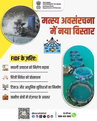 मत्स्य अवसंरचना में नया संकल्प, ग्रामीण भारत को नई ताकत। FIDF के ज़रिए हो रहा है सतत विकास, निवेश का प्रोत्साहन और रोज़गार का सृजन।
#FIDF #FisheriesInfrastructure #BlueEconomy #RuralEmployment #ModernMatsya