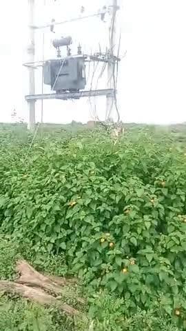 Aamtala BHEDWA me transformer hua crash